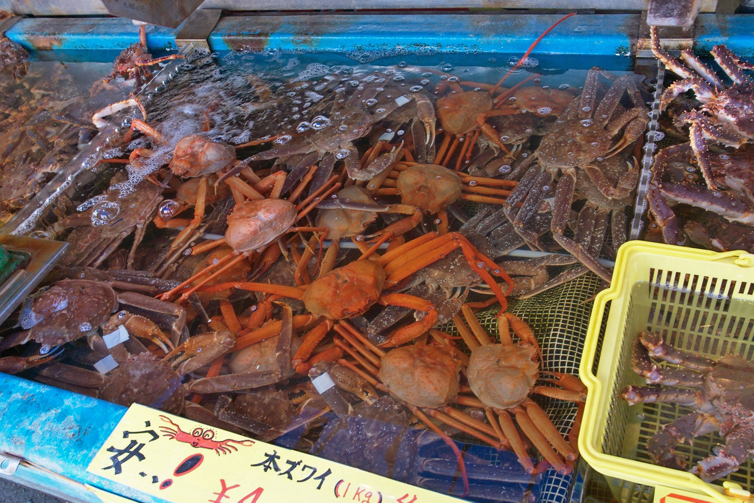 Did climate change really kill billions of snow crabs in Alaska?