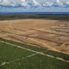 A deforested area in Barrerias, in Bahia state.