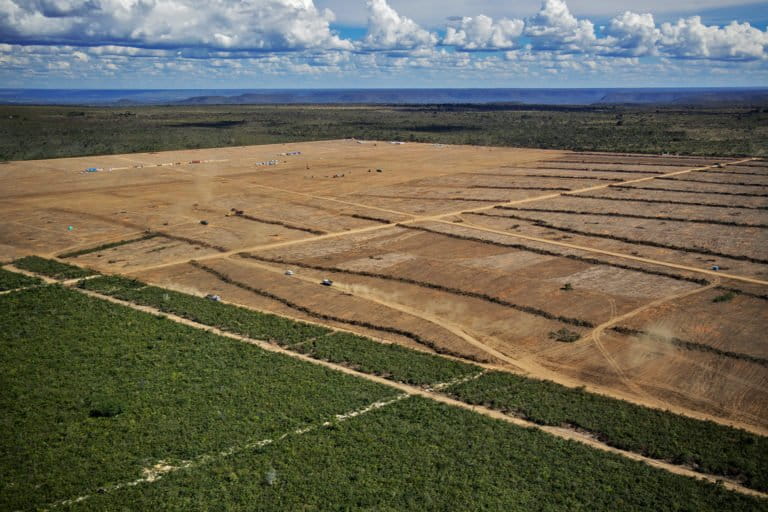 A deforested area in Barrerias, in Bahia state.