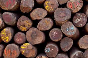 Rosewood logs. Image courtesy of Environmental Investigation Agency.