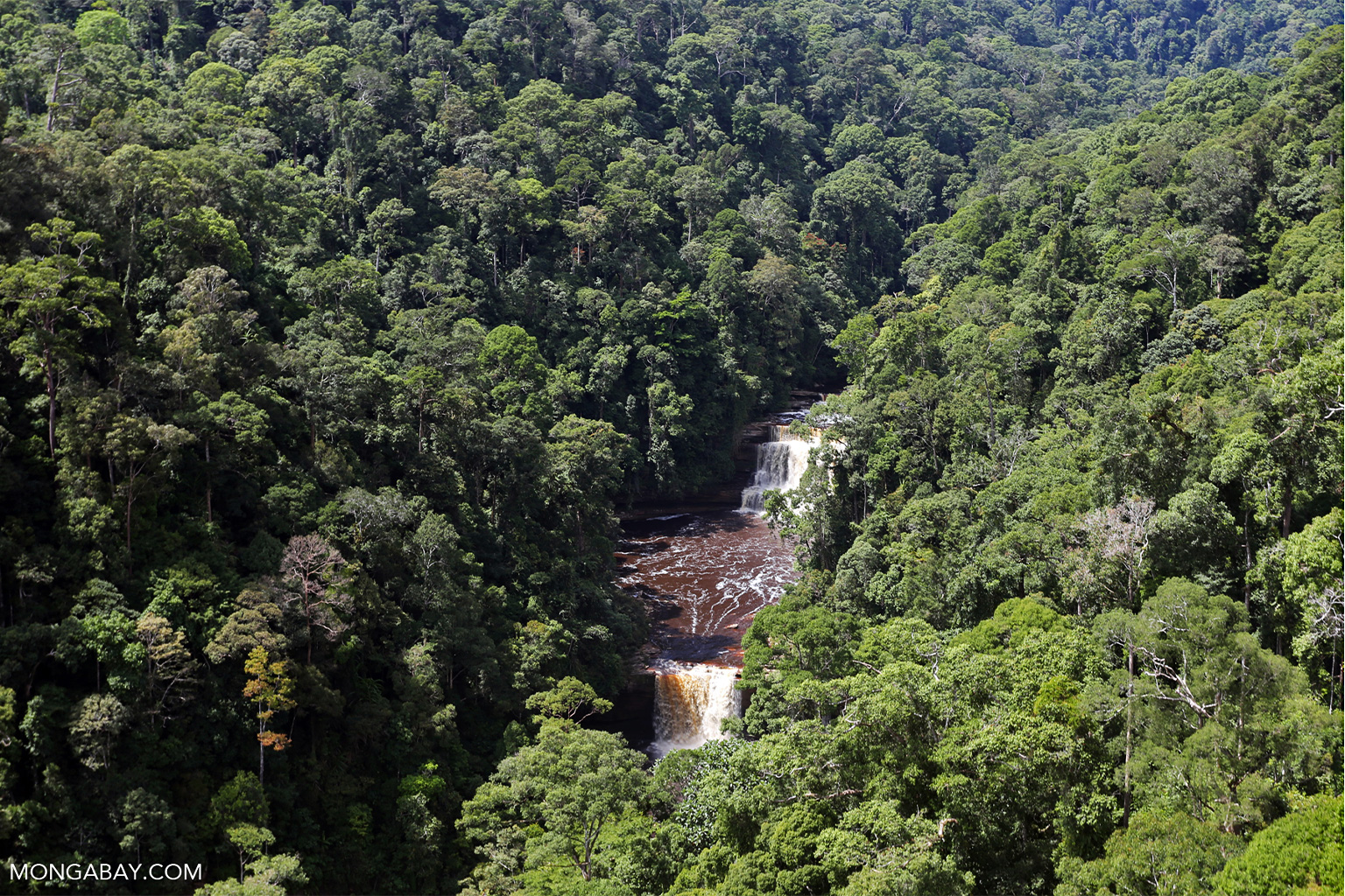 Maliau Falls in Sabah, Malaysia. Image by Rhett A. Butler/Mongabay.