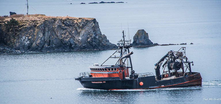 A trawler returns to port in Kodiak, Alaska. Image by Ted McGrath via Flickr (CC BY-NC-SA 2.0).