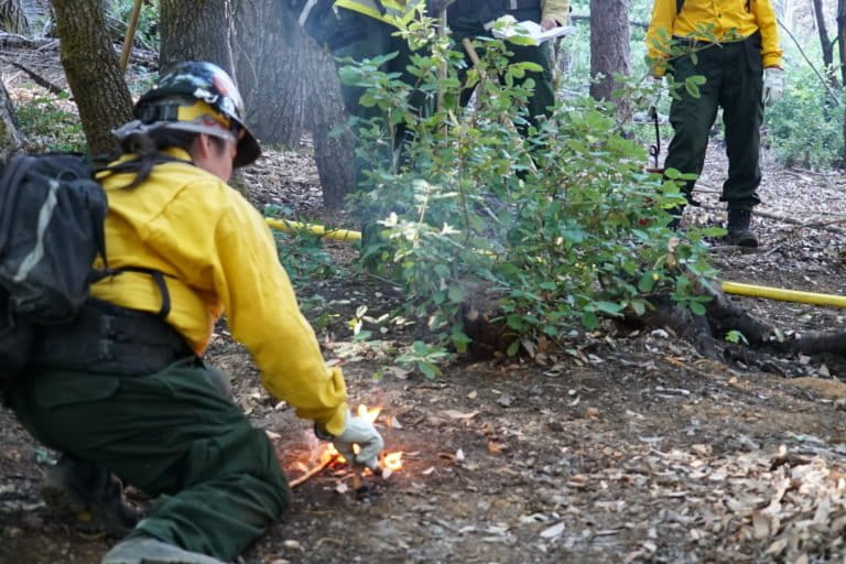 The start of burn practices by Indigenous people participating in a fire training event in October 2022. Images by bay laurel O'Connor/courtesy of the Karuk Tribe.