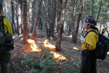 Eric Darragh, the co-director of Fire and Forestry for the Mid-Klamath Watershed Council, is pointing out burn sites  within the project area. Images by Carly Nairn.