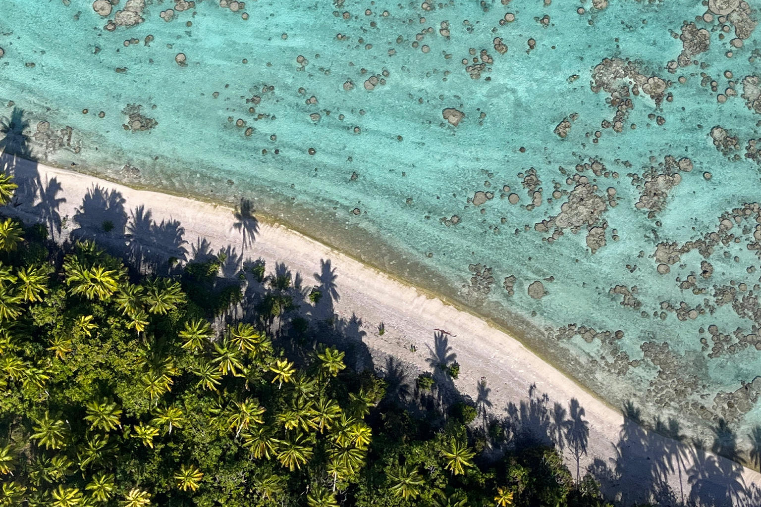 A Tetiaroa beach.