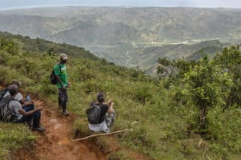 Surveying Grand Bois National Park.