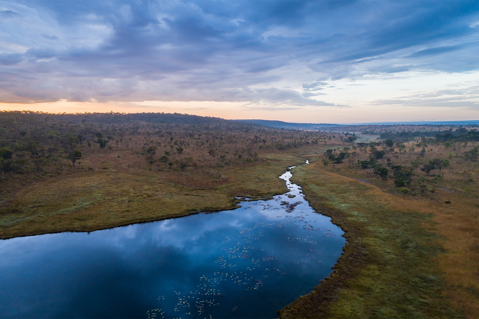 Aerial view of peat bogs by Source Lake.