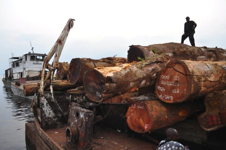 A figure stands silhouetted on top of loading raw logs being loaded onto a barge by a floating crane.. Image by Jane Boles via Flickr (BY-NC-SA 2.0)