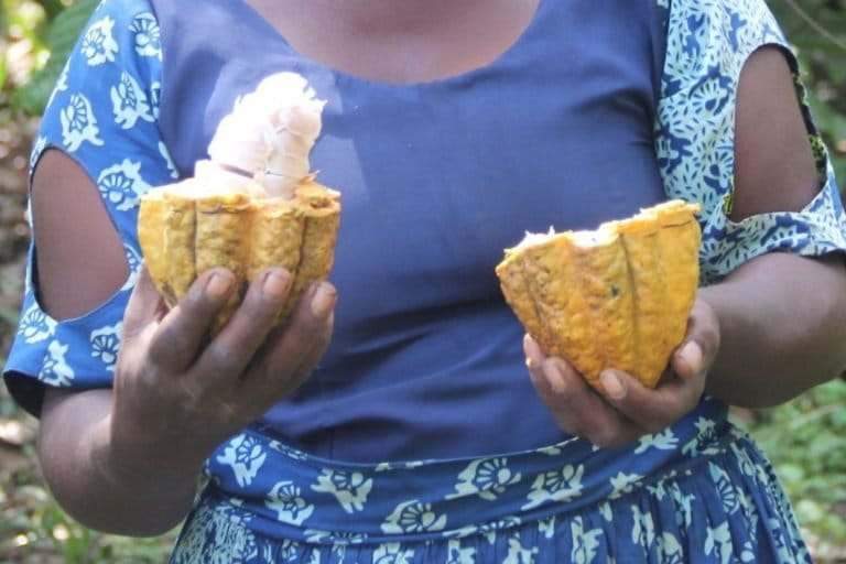 Kavira Kahasa Leoni, cocoa farmer with IDAD, from the small village of Mundubiena. Image courtesy of IDAD.