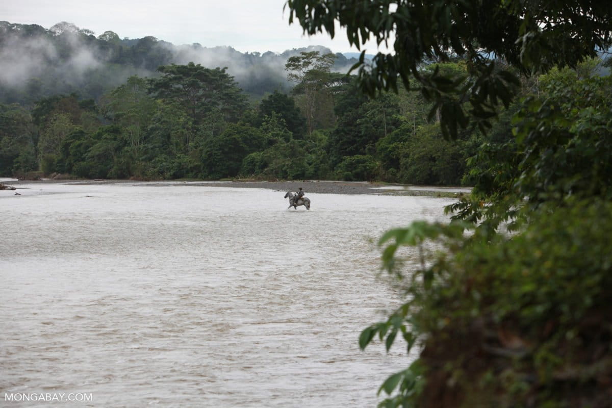 An Afro-Indigenous Colombian crossing a river on horseback. Image by Rhett A. Butler/Mongabay.