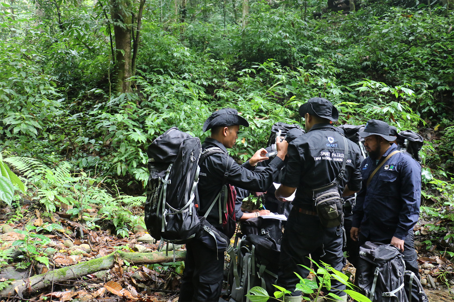 SMART patrol team in Indinesia. 