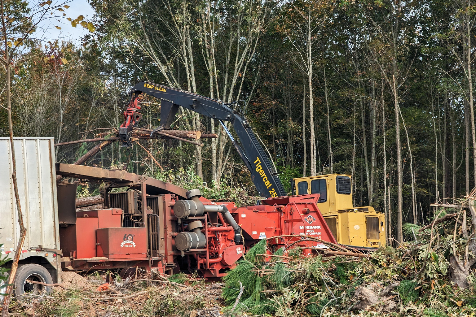 A tractor operator feeds trees large and small into a massive wood chipper.