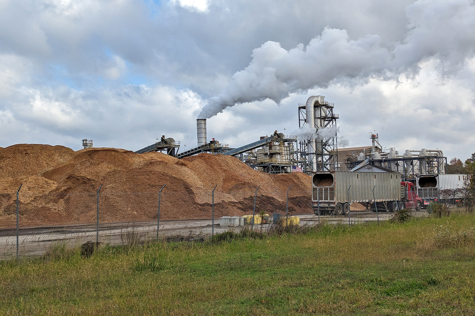 Wood chips piled in mounds more than 6 meters (20 feet) high.