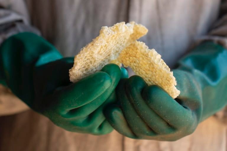 4. Beekeeper holds a dry honeycomb. Popular School of Agroecology Ana Primavesi, Egídio Brunetto Agroecological Settlement, Lagoinha, Paraíba Valley, Brazil. Image by Inaê Guion.