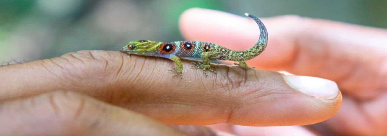 Keksa ayollar porno onlayn