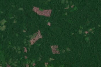 Satellite imagery from Planet Labs Inc. captured October 2022 shows several recently cleared areas in the territory of the Indigenous community of Puerto Nuevo.