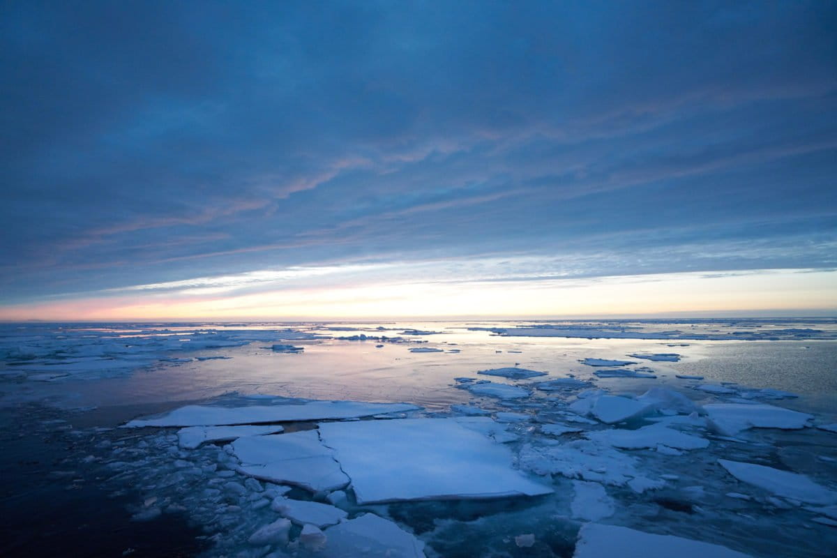 Sun illuminates melting ice floes in the western Arctic Ocean. Scientists estimate that Arctic summer ice will disappear completely by 2050. (Courtesy of Zhangxian Ouyang)