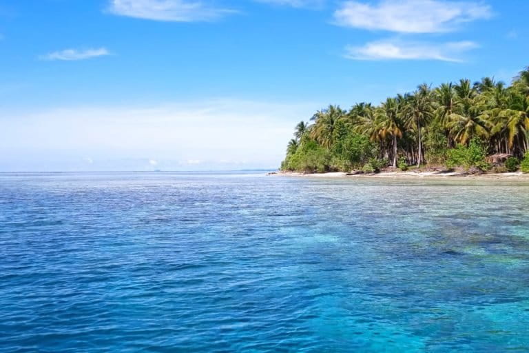 Pihak berwenang Indonesia menghentikan lelang pulau di cagar alam laut sejak awal