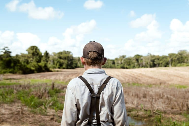 Mennonites deforest Peruvian Amazon, encroach on Indigenous lands