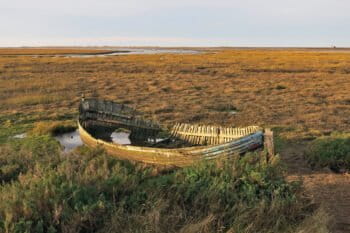 A boat in a salt marsh.