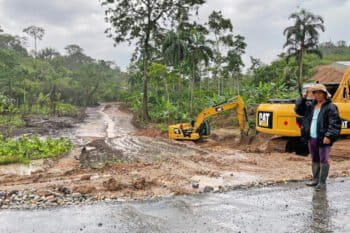 The blackened earth shows where banana trees used to be.