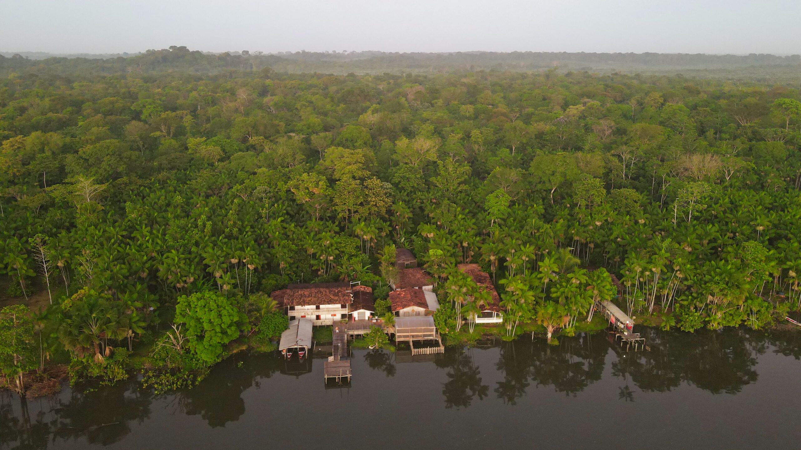 village forest