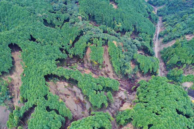 Japan S Example Can Forest Planting Reduce Climate Disaster Risk Japan S Example Can Forest Planting Reduce Climate Disaster Risk