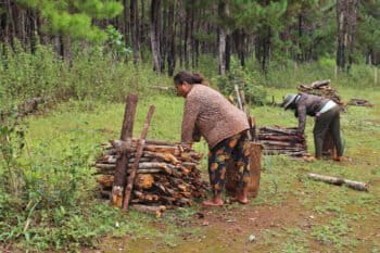 Indigenous people in neighboring villages of Glar commune collect dead branches for firewood.