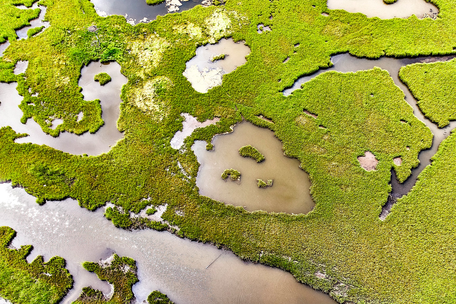 Aerial view of a salt marsh.