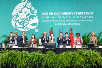 From center left to right: David Cooper, CBD Deputy Executive Secretary; COP 15 President Huang Runqiu, Minister of Ecology and Environment, China; Xia Yingxian, China; and Elizabeth Maruma Mrema, CBD Executive Secretary. Image by UN biodiversity via Flickr (CC BY-NC-ND 2.0).