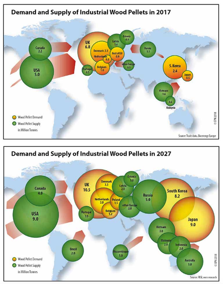 From B.C. forest to U.K. furnace: wood-pellet demand drives logging in  Canada