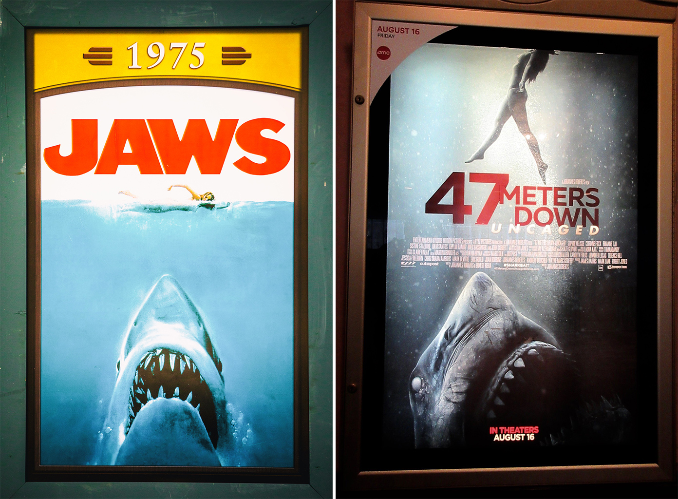 Movie posters of Jaws and 47 Meters Down.