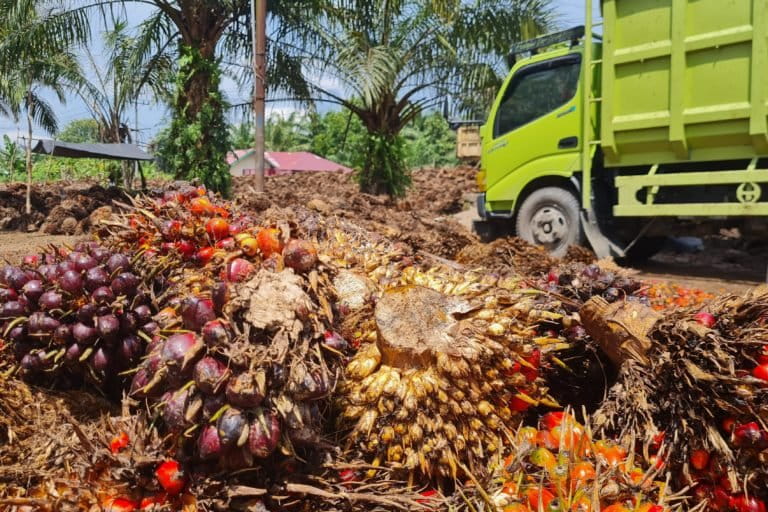 Indonesian regulator gets 12 years’ jail for palm oil permit bribery