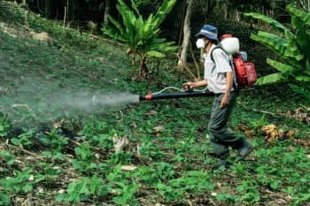 Man spraying pesticides in woods. Image by Gilmer Diaz Estela via Pexels.