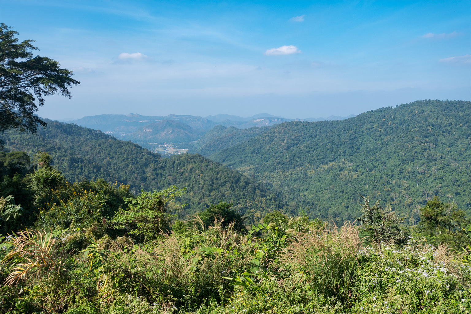 Forests of Khao Yai National Park.