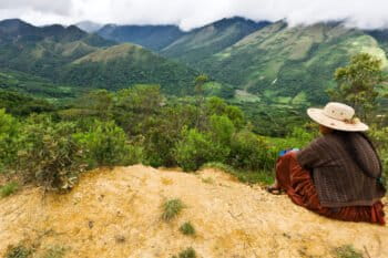 Forests of Bolivia.