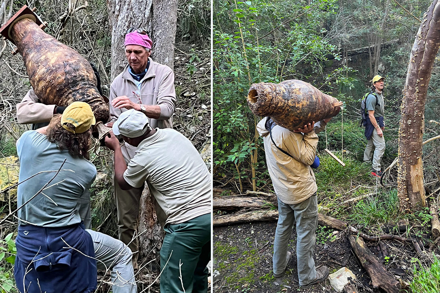 Installation of agave log hives.