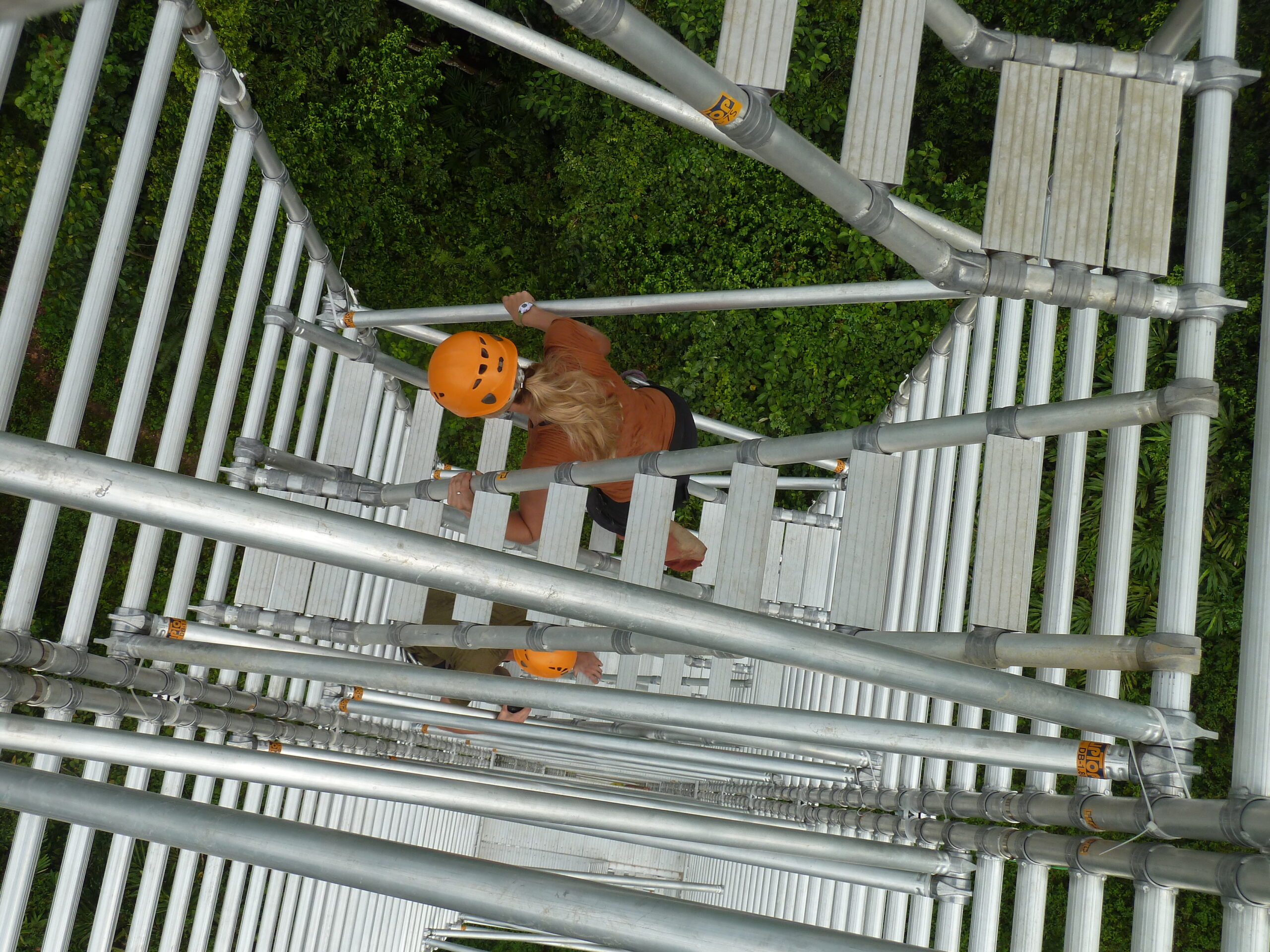 Research tower in Borneo