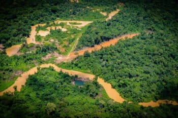 An overflight conducted by Greenpeace and Instituto Socioambiental in December 2022 spotted four excavators near an illegal road recently discovered inside the Yanomami Indigenous territory, one of the most endangered areas of Indigenous lands in the Brazilian Amazon.