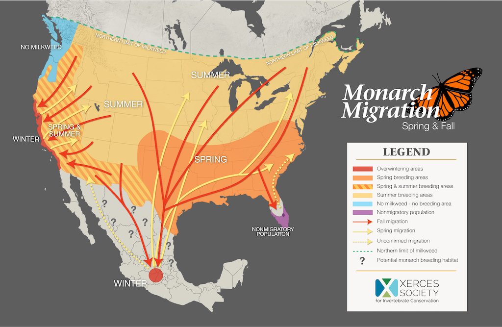 XercesSociety MonarchMigrationMap 27jan2023 