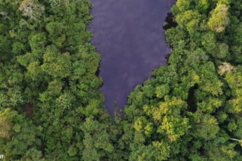 A blackwater oxbow lake in the Peruvian Amazon.