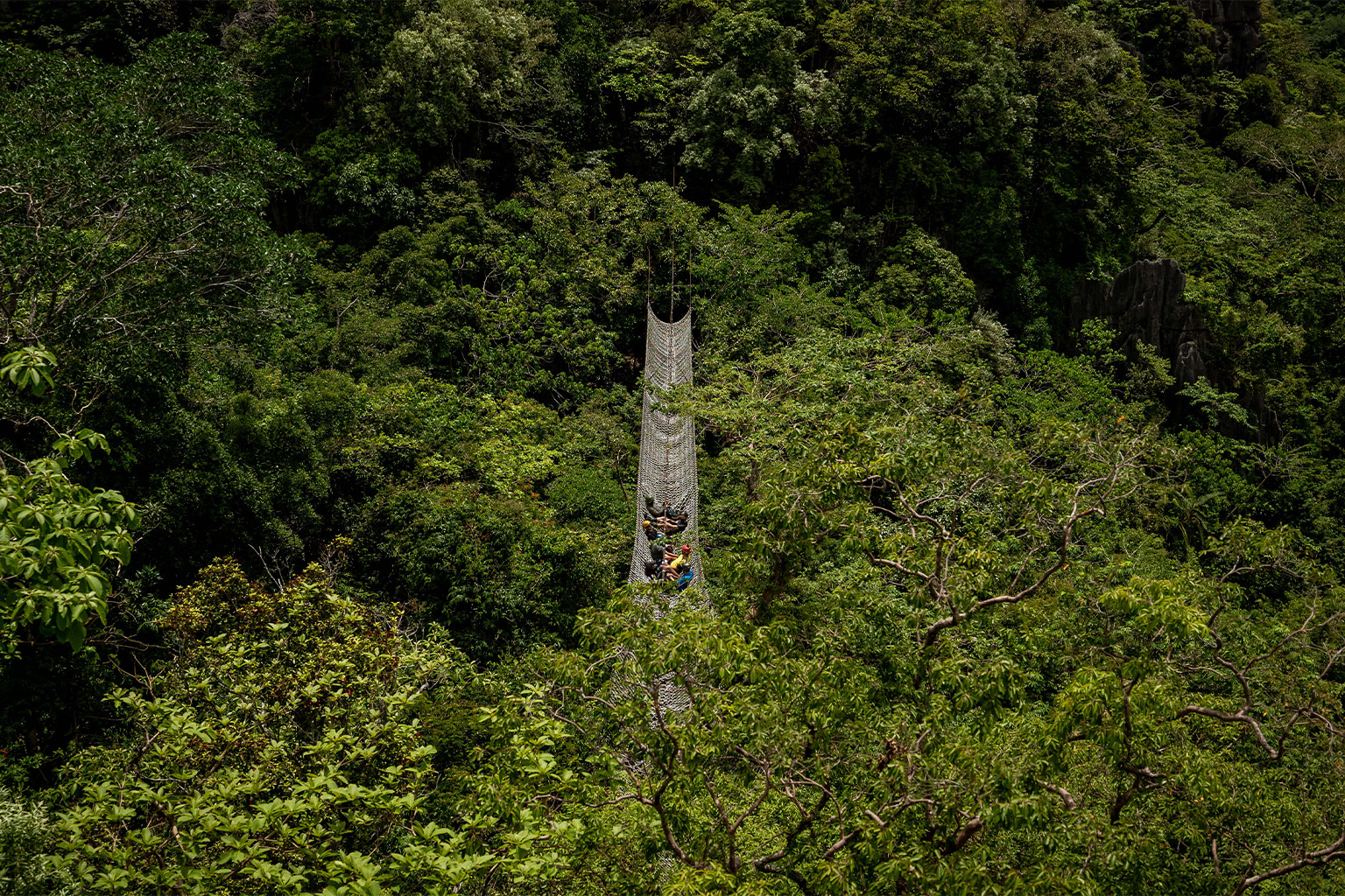 Hanging bridges.