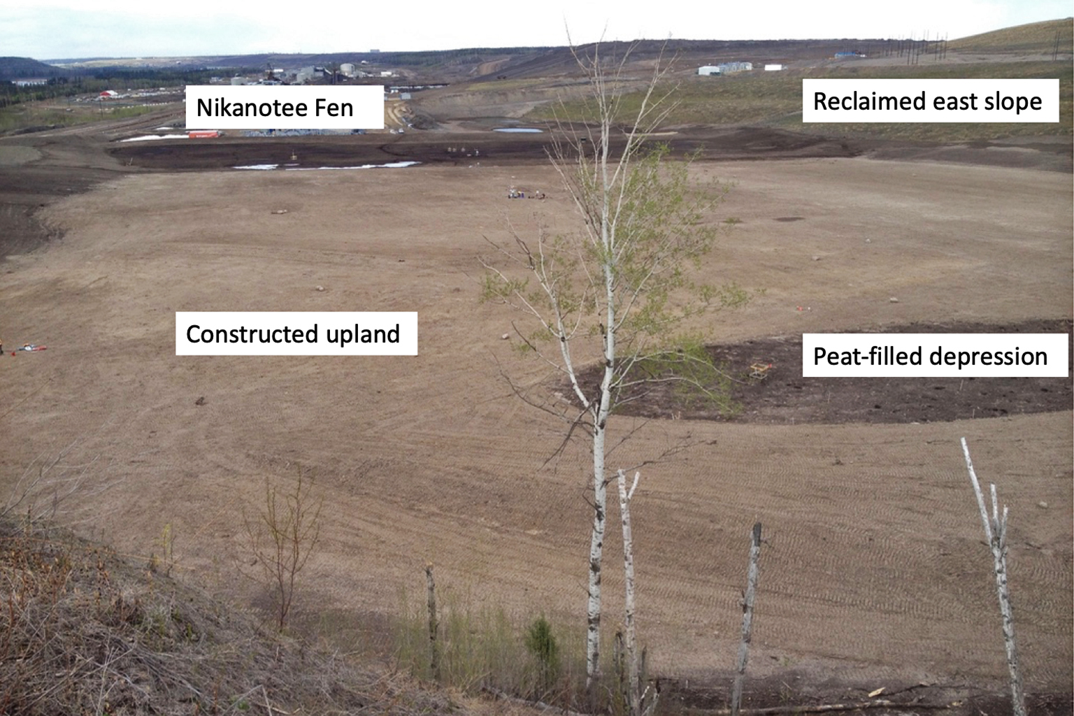 Nikanotee Fen and upland in 2013, Year One of the restoration project.