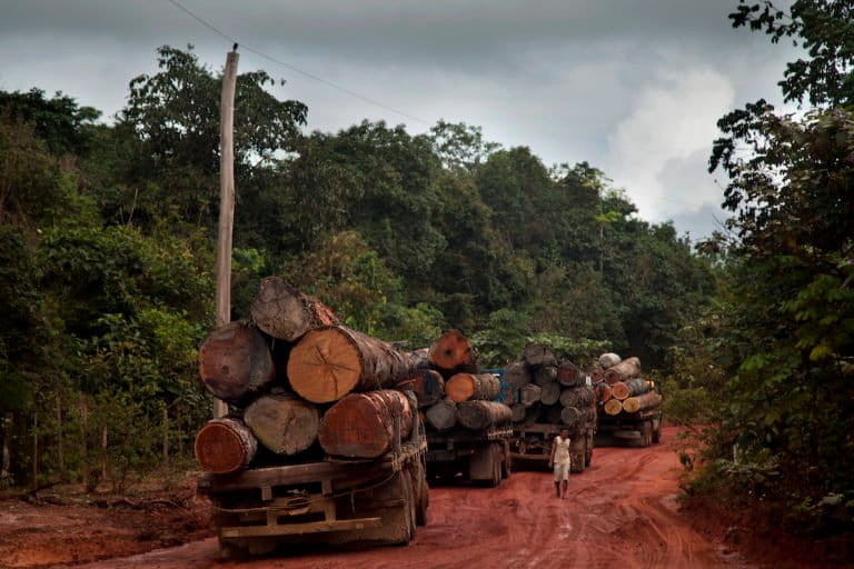 Trucks loaded with timber await the repair of a ferry used to cross the Curuá-Una river, close to Santarém, Pará State. Photo courtesy of Marizilda Cruppe for Greenpeace.