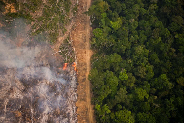 Sections of the Amazon Rainforest are set on fire by farmers to be cleared for agriculture.