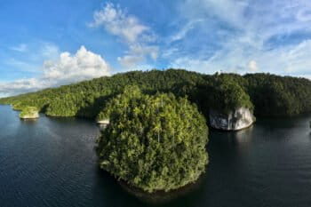 A biodiverse island in Indonesia. Photo by Rhett A. Butler for Mongabay.