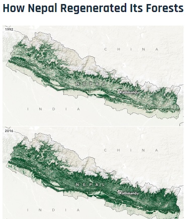 Nepal forest regneration