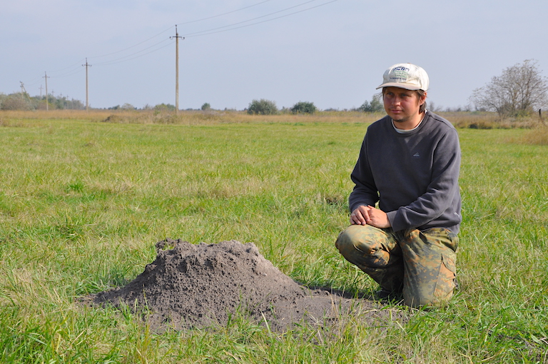 Mikhail Rusin crouches by a mound made by a sandy blind mole-rat near Kardashynka, Ukraine. An endangered species endemic to southern Ukraine, the rodent lives almost entirely underground, making it vulnerable to Russian-built military trenches. Rusin and other conservation biologists say it could go extinct—but they need more data to know how big of a risk that really is. Photo courtesy of V. Busel.