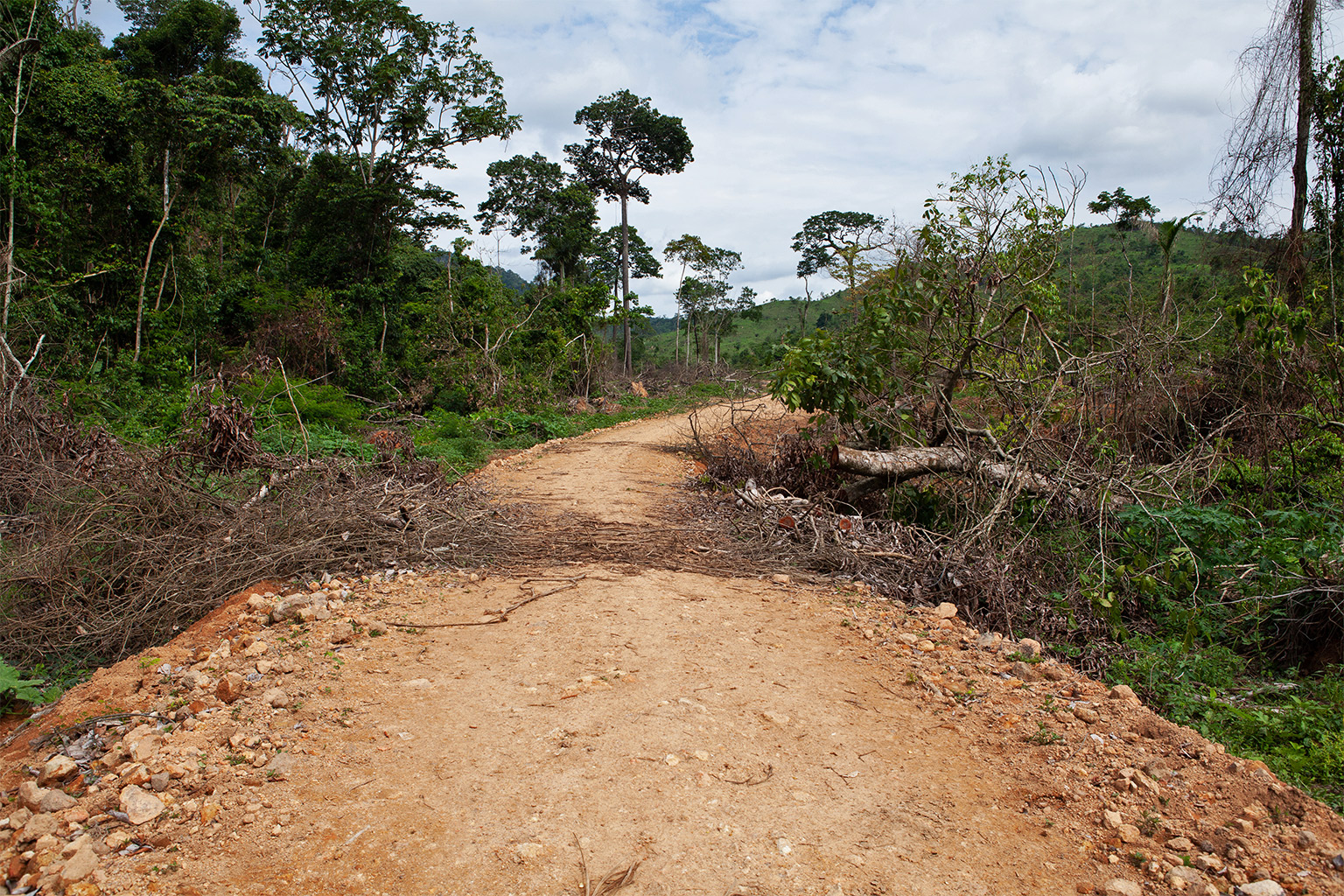 A road cuts through Triunfo do Xingu.