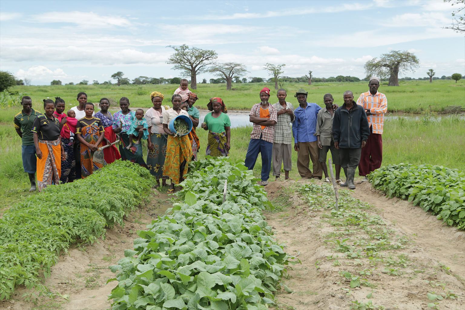 A group of farmers from Manienga village, Mvomero district.